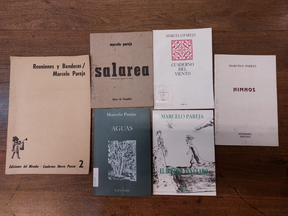 portadas de libros de marcelo pareja
